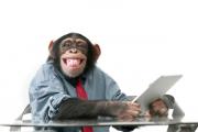 Monkey iPad.jpg